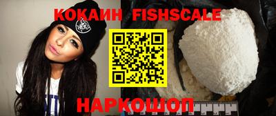 индика Будённовск