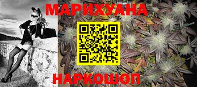 индика Будённовск
